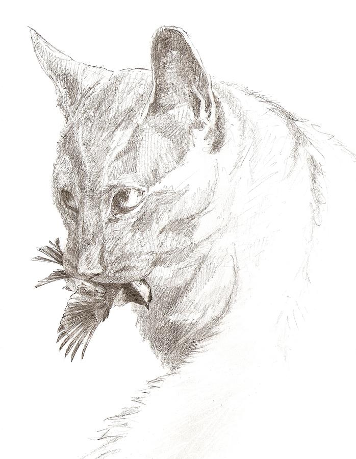 698x900 Cat And Chickadee Drawing - Chickadee Drawing