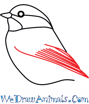 300x350 how to draw a black capped chickadee - Chickadee Line Drawing