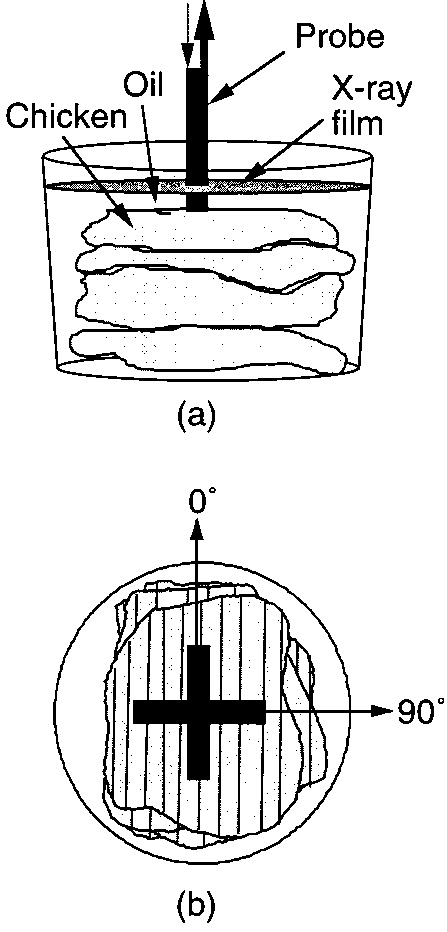 447x932 chicken breast tissue setup a the container, cm deep and cm - Chicken Breast Drawing