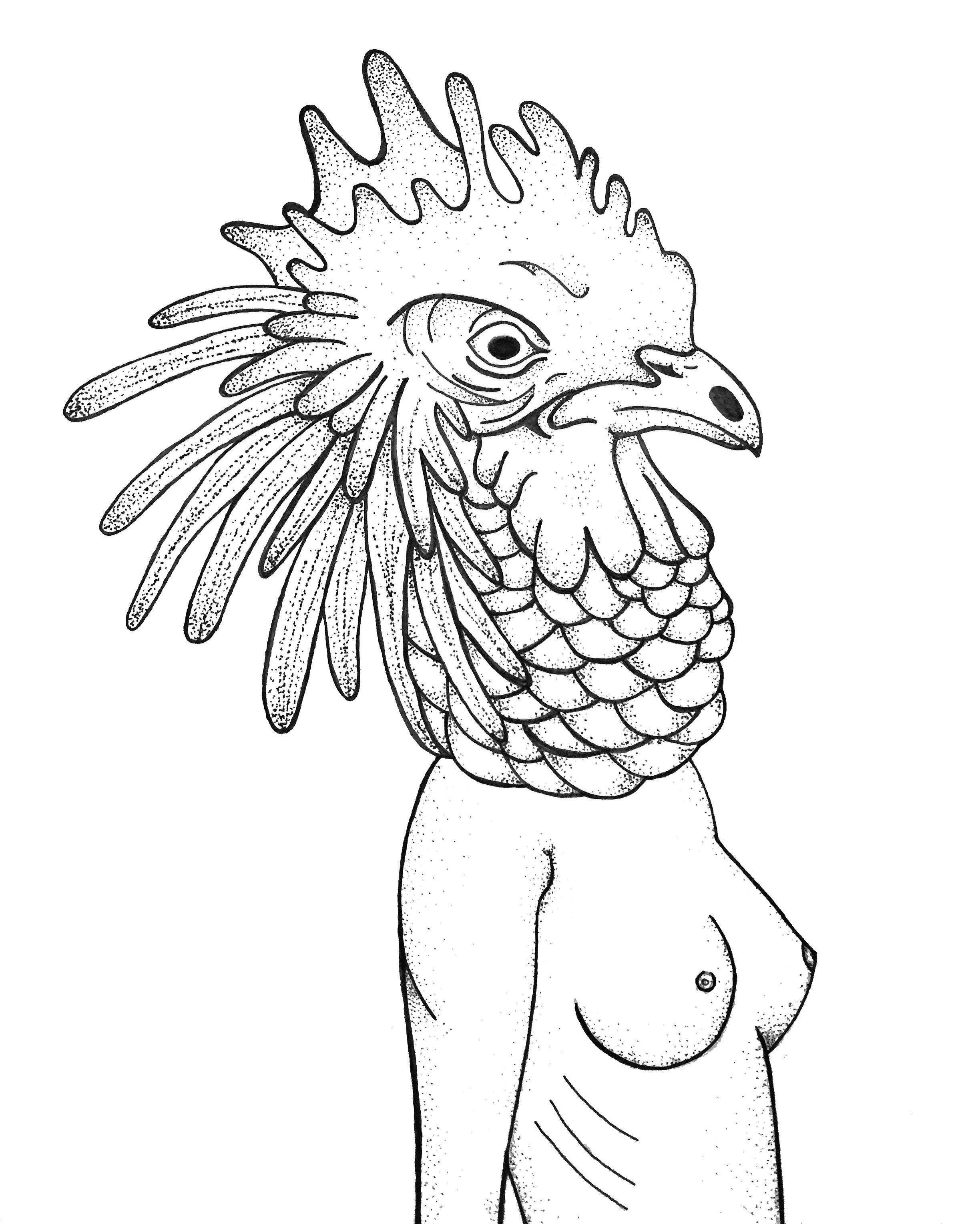 2448x3057 Camillebigdeal Chicken Breast - Chicken Breast Drawing