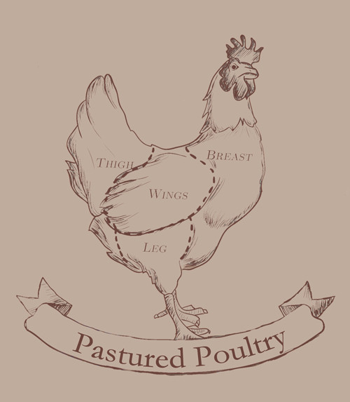 500x573 Chicken Breasts - Chicken Breast Drawing