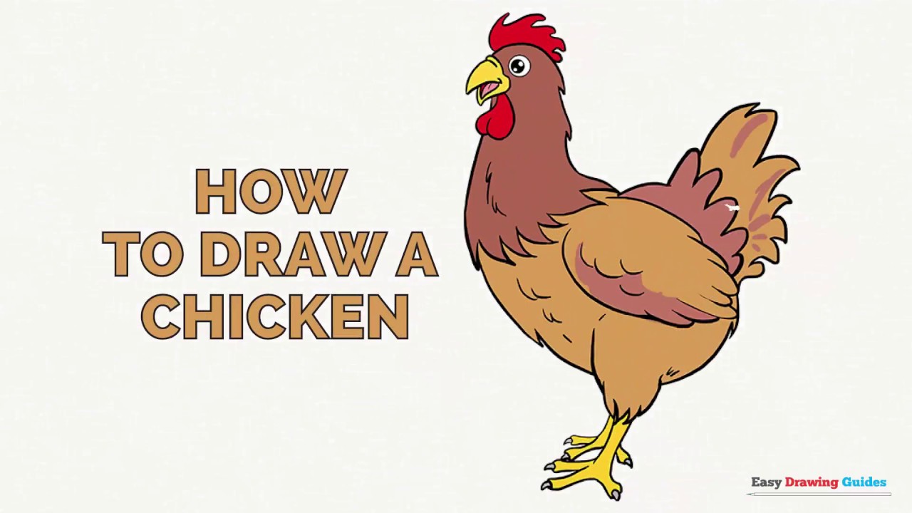 1280x720 How To Draw A Chicken In A Few Easy Steps Drawing Tutorial - Chicken Drawing For Kids