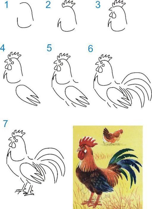 Chicken Drawing For Kids at PaintingValley.com | Explore collection of ...