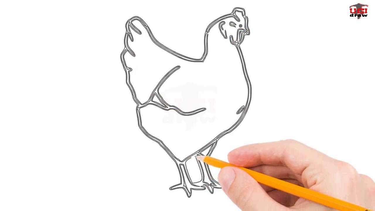 1280x720 How To Draw A Chicken Step - Chicken Drawing Images