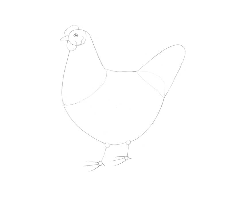 850x688 How To Draw A Chicken And A Rooster - Chicken Drawing Images