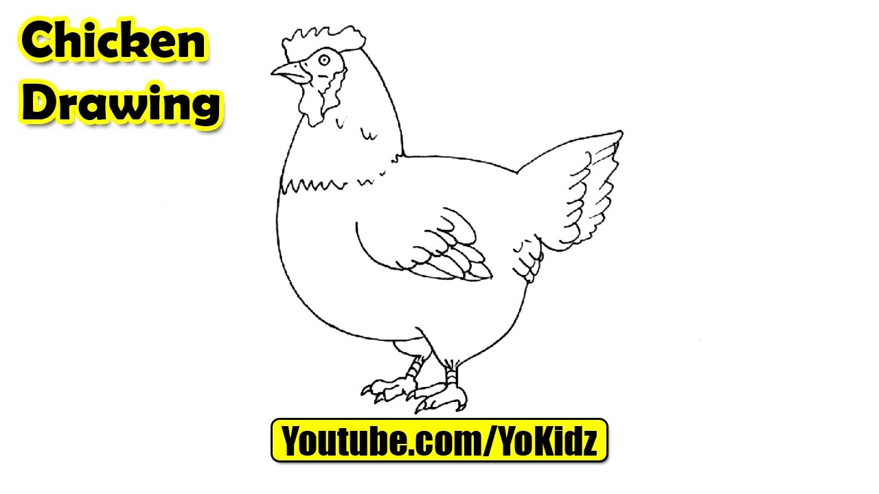 1280x720 How To Draw A Chicken For Kids - Chicken Drawing Images