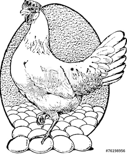 412x500 Vintage Illustration Hen With Eggs Stock Photo And Royalty Free - Chicken Egg Drawing
