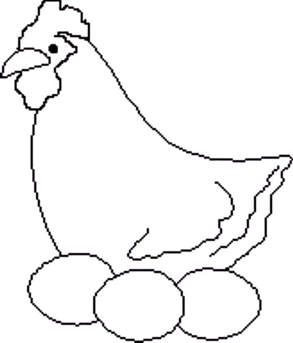 600x702 Collection Of Chicken Laying Eggs Drawing High Quality Free Hen - Chicken Egg Drawing