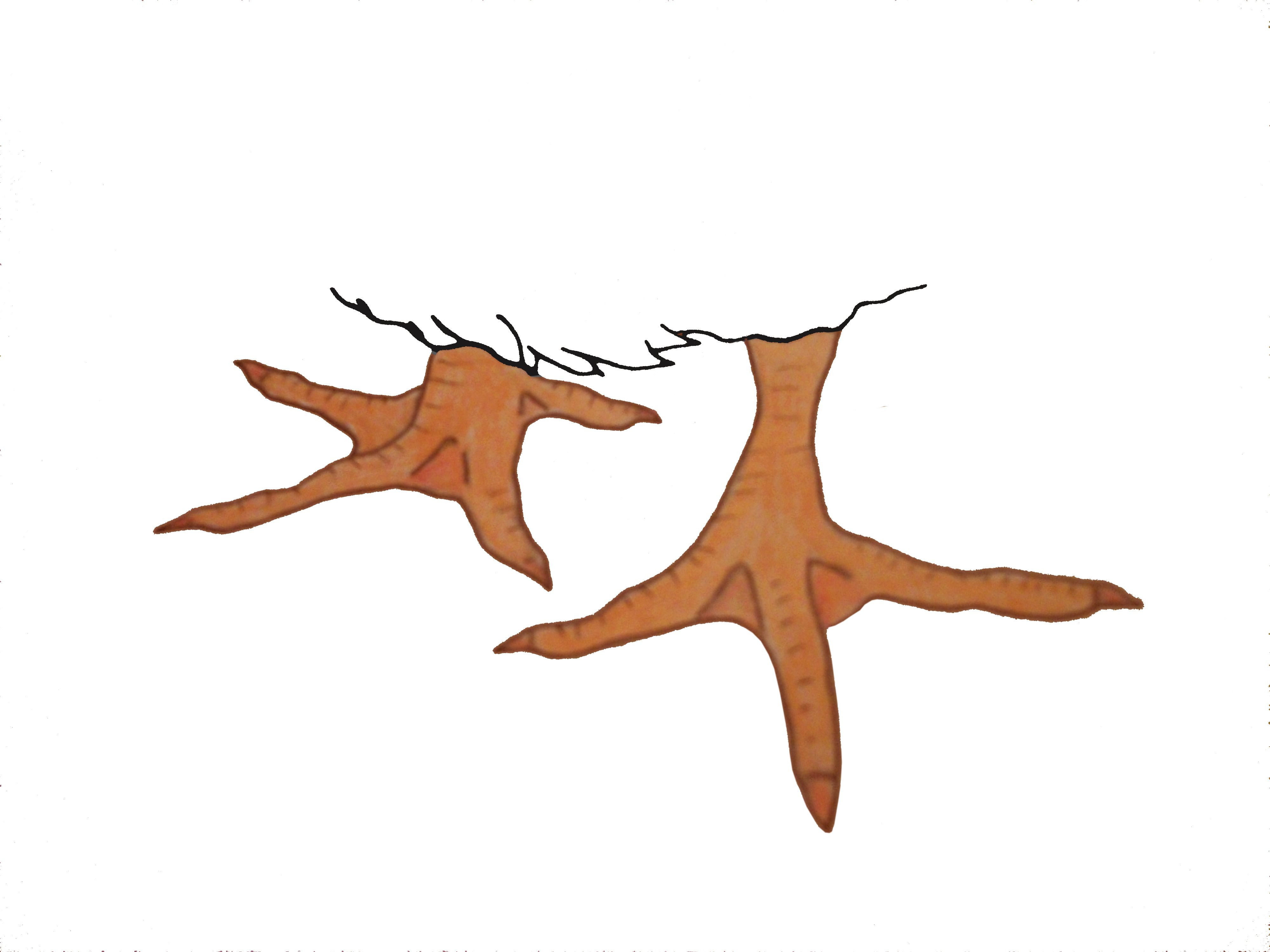 4000x3000 drawn chicken chicken foot - Chicken Feet Drawing