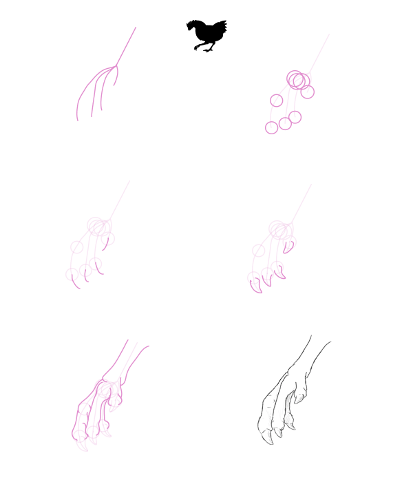 Chicken Feet Drawing at Explore collection of