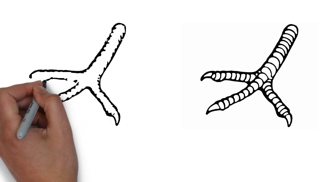1280x720 How To Draw Chicken Feet Easy For Kids Mr Drawing - Chicken Feet Drawing