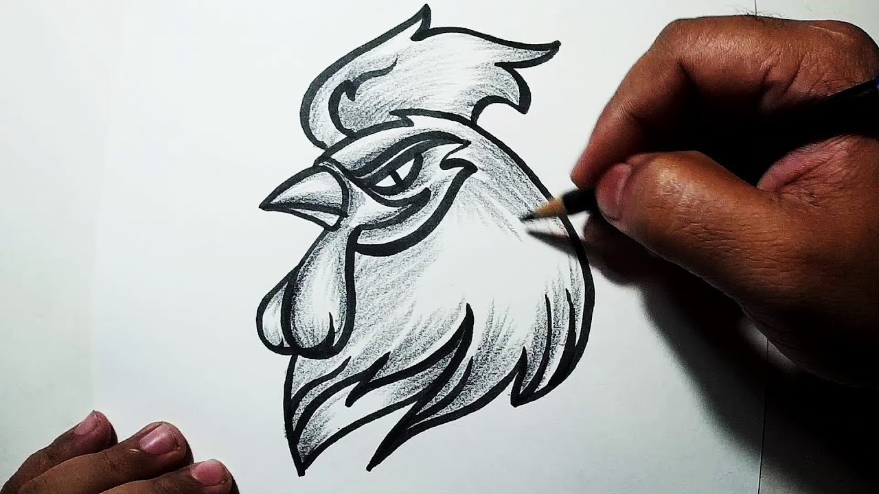 1280x720 How To Draw A Chicken Head Easy Sketch, Draw, Shade - Chicken Head Drawing