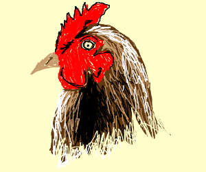 300x250 What Is A Chicken Head Drawing - Chicken Head Drawing