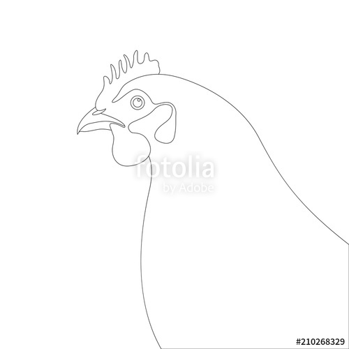 500x500 Chicken Head Vector Illustration Coloring Line Drawing Stock - Chicken Head Drawing
