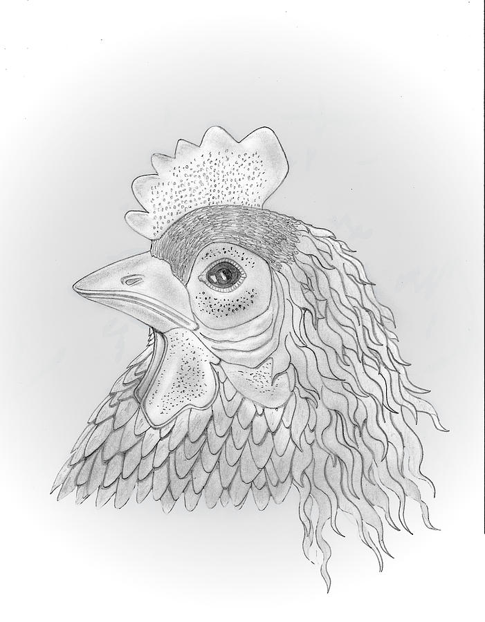701x900 Chicken Head Drawing - Chicken Head Drawing