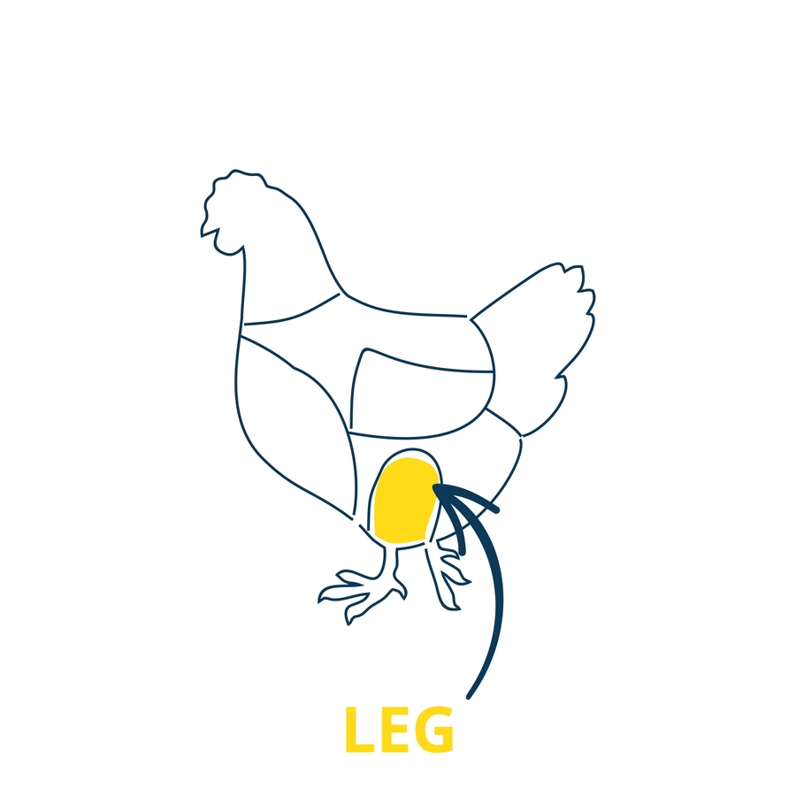900x900 herb fed free range chicken legs farmison co - Chicken Leg Drawing