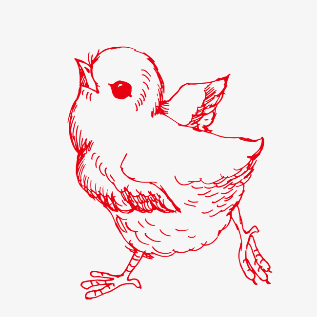 650x651 Cute Little Chicks Illustrator, Chick, Chicken, Vector Line - Chicken Line Drawing