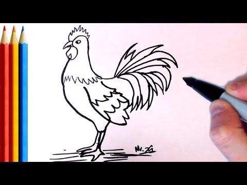 480x360 How To Draw Realistic Chicken - Chicken Line Drawing