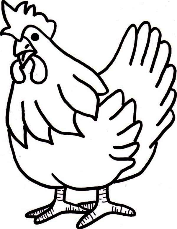 600x775 Coloring Image Of A Chicken Coloring - Chicken Line Drawing