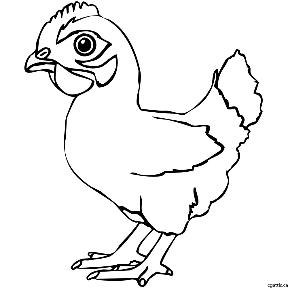 1000x1000 Chicken Cartoon Drawing In Steps With Photoshop - Chicken Line Drawing