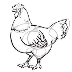 Chicken Outline Drawing