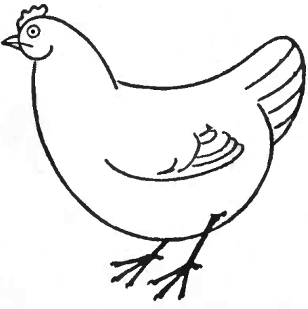 439x440 How To Draw Chickens Hens With Easy Step - Chicken Outline Drawing