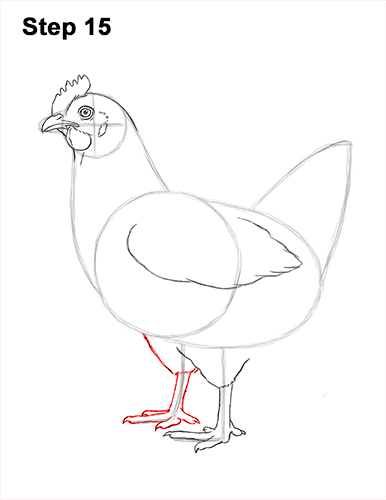 386x500 How To Draw A Chicken - Chicken Outline Drawing
