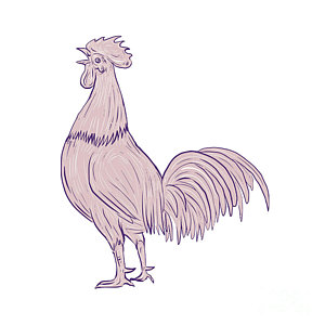 300x300 chicken scratch art fine art america - Chicken Scratch Drawing