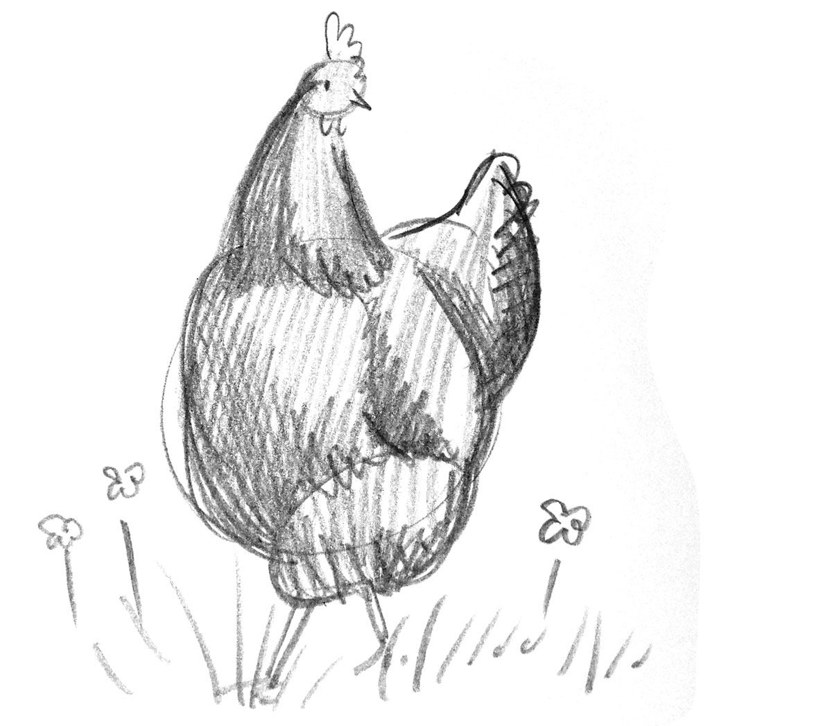 1200x1047 scratch and peck how to draw a chicken chickens drawings - Chicken Scratch Drawing