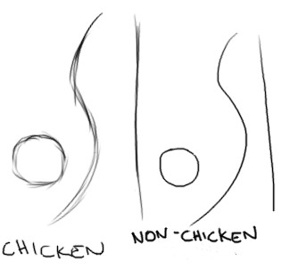 325x302 the problem's called chicken scratching - Chicken Scratch Drawing