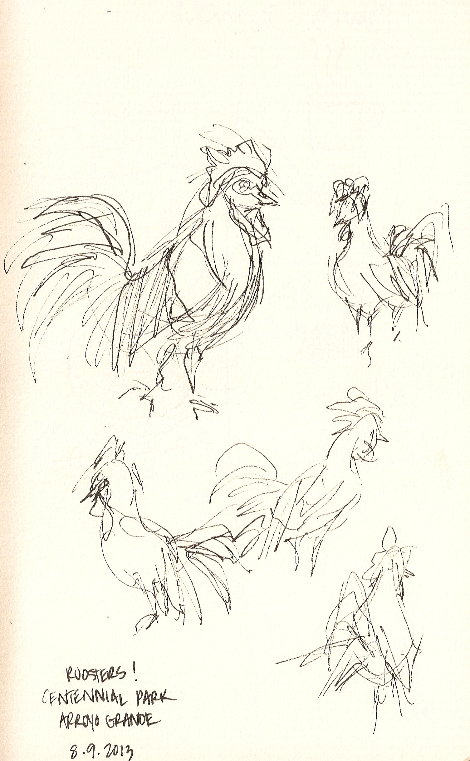 chicken-scratch-drawing-at-paintingvalley-explore-collection-of