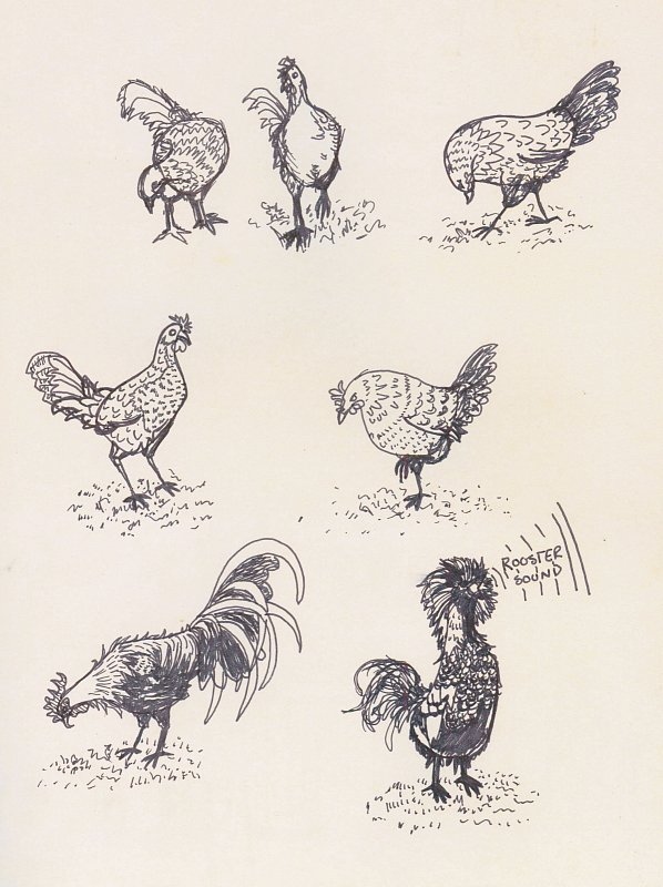 598x800 chicken scratch - Chicken Scratch Drawing