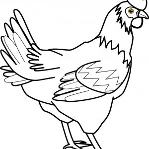 300x300 Chicken Noodle Soup Coloring - Chicken Soup Drawing