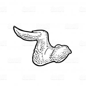 300x300 hand drawn sketch buffalo chicken wings arenawp - Chicken Wing Drawing