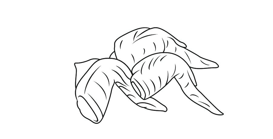 900x460 chicken wing drawing condor clip art style fried wings biological - Chicken Wing Drawing