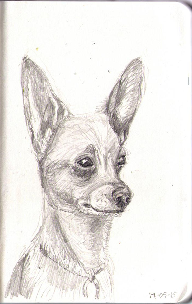 631x1000 ozzy the chihuahua dog drawing in pencil one drawing daily - Chihuahua Dog Drawing