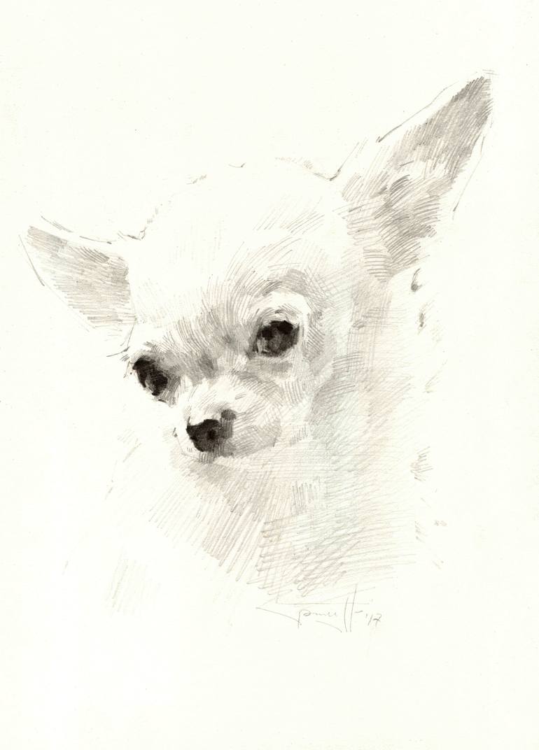 770x1072 Chihuahua Drawing - Chihuahua Drawing