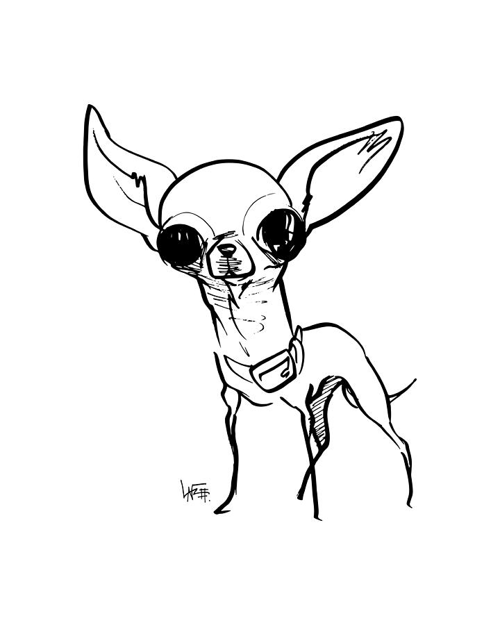 720x900 Chihuahua Gesture Sketch Drawing - Chihuahua Drawing
