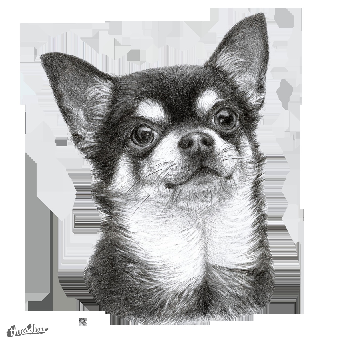 1200x1200 Score Chihuahua Drawing - Chihuahua Drawing