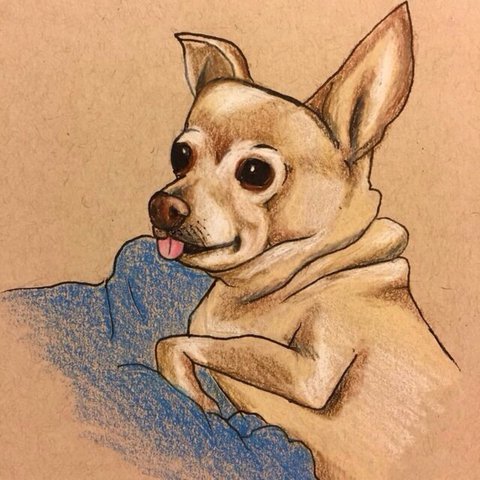 480x480 Chihuahua Drawing I Did Awhile Back ! You Will Get The ! - Chihuahua Drawing