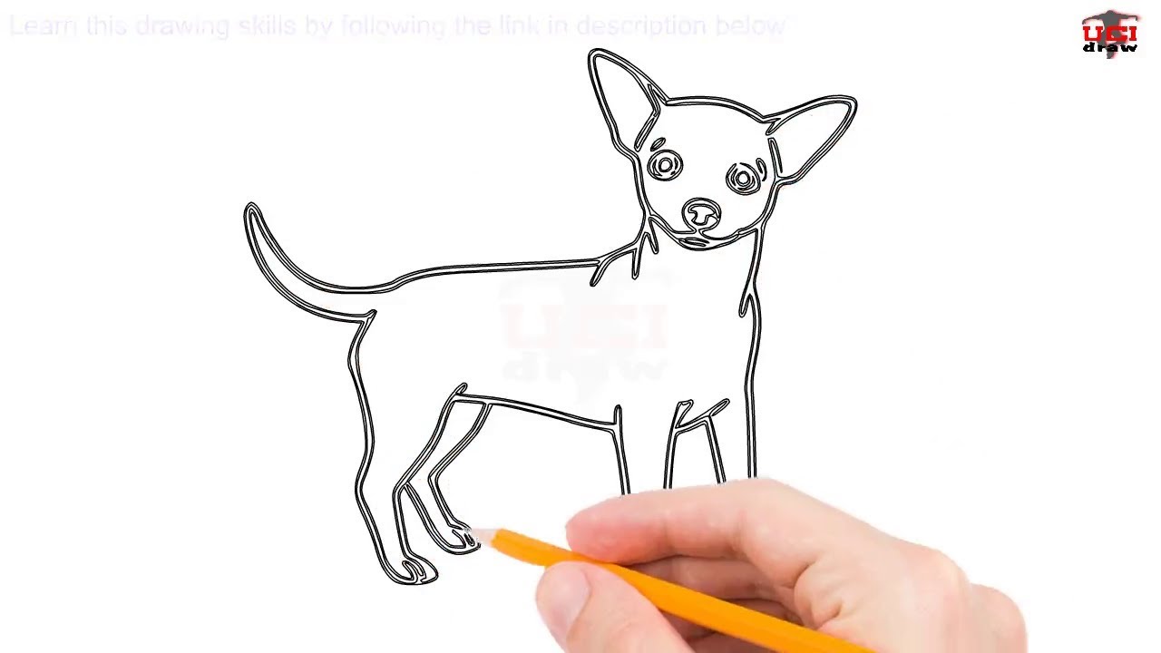 1280x720 easy chihuahua drawing ideas a simple chihuahua sketch to draw - Chihuahua Line Drawing