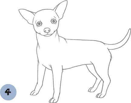 Chihuahua Line Drawing at PaintingValley.com | Explore collection of ...