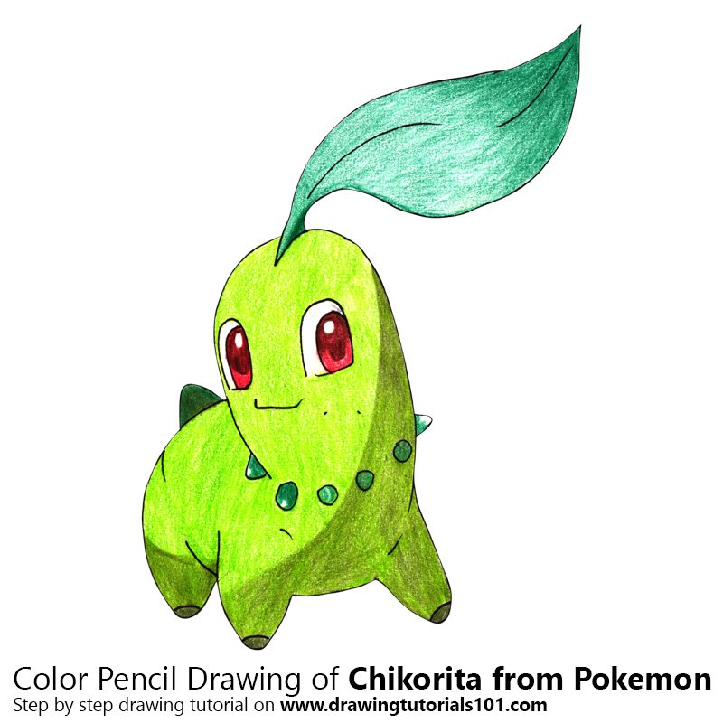 800x800 Chikorita From Pokemon Colored Pencils - Chikorita Drawing