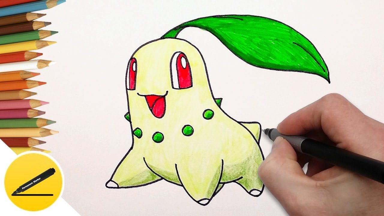1280x720 How To Draw Chikorita Pokemon Draw Pokemon Step - Chikorita Drawing