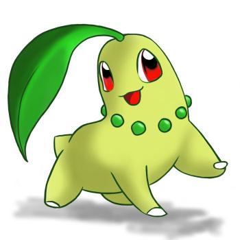 350x350 How To Draw Chikorita - Chikorita Drawing