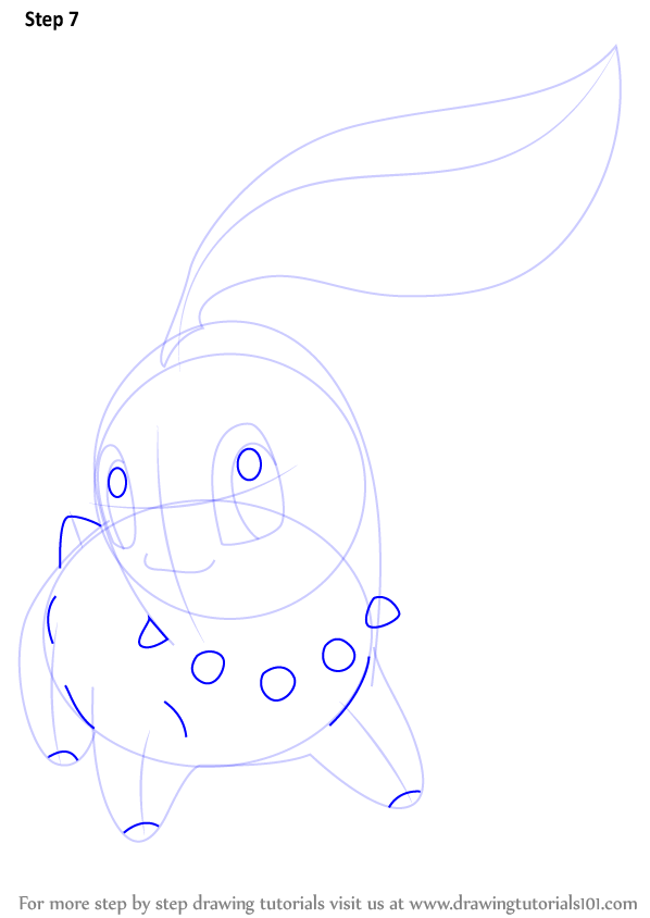 598x844 Learn How To Draw Chikorita From Pokemon - Chikorita Drawing