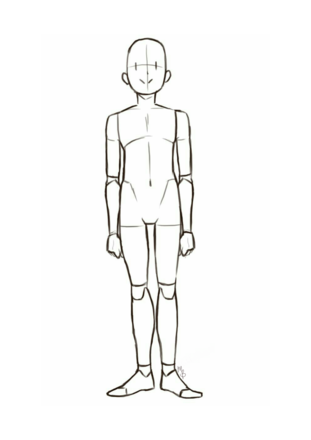 Anatomy Reference Drawing