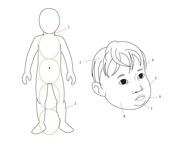 600x479 Human Anatomy Fundamentals Drawing Different Ages - Child Anatomy Drawing