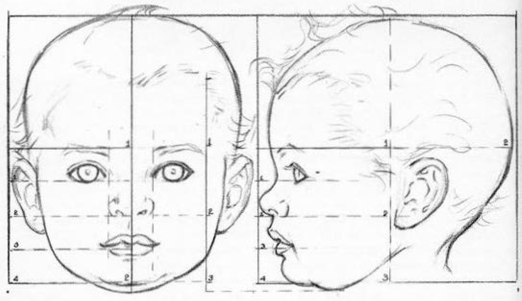 1800x1039 how to draw baby and toddlers heads in the correct proportions - Childs Face Drawing