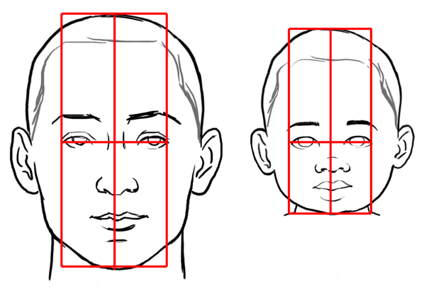 598x414 mastering proportions drawing a child's face - Childs Face Drawing